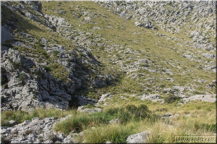 PA200462.JPG