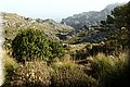 PA200426.JPG