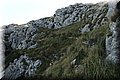 PA200432.JPG