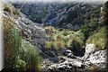 PA200461.JPG