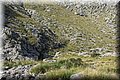PA200462.JPG