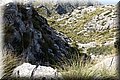 PA200465.JPG