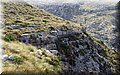 PA200467.JPG