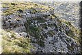 PA200468.JPG