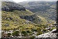 PA200471.JPG