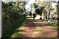 PA200486.JPG