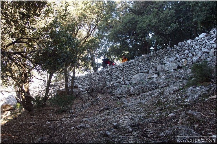 PA230544.JPG