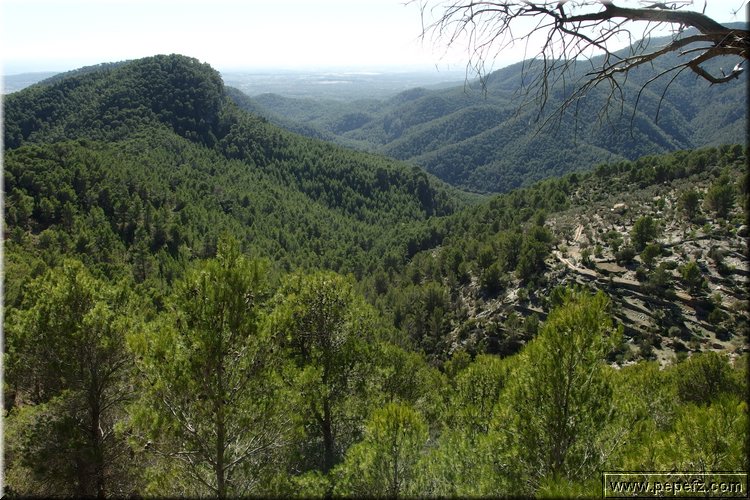 PA230548.JPG