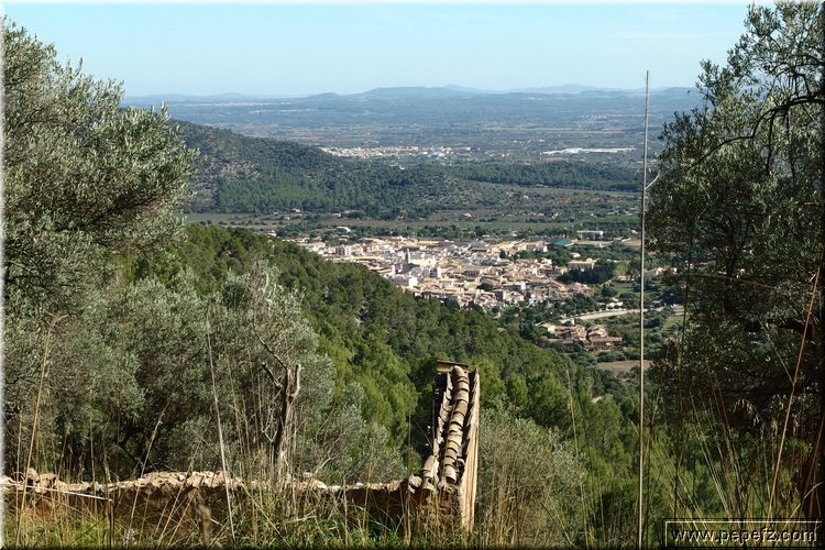 PA230552.JPG