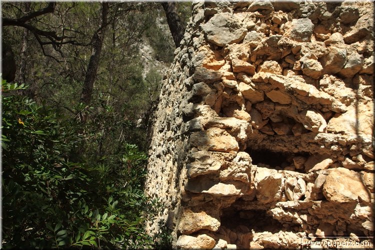 PA230562.JPG