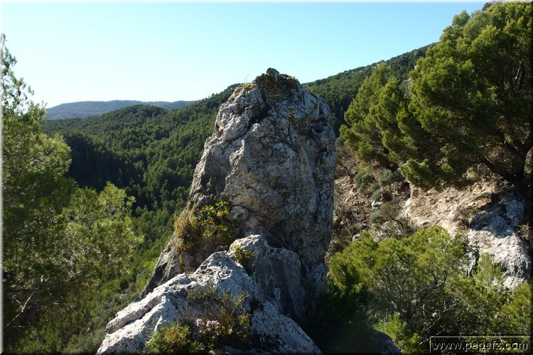 PA230570.JPG