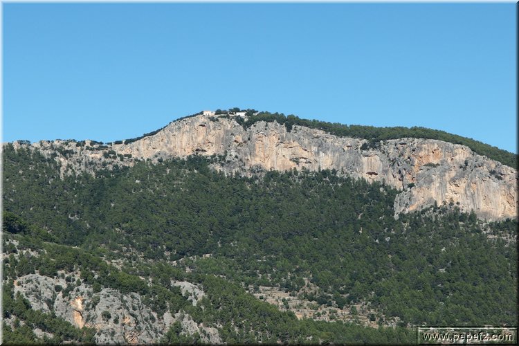 PA230571.JPG