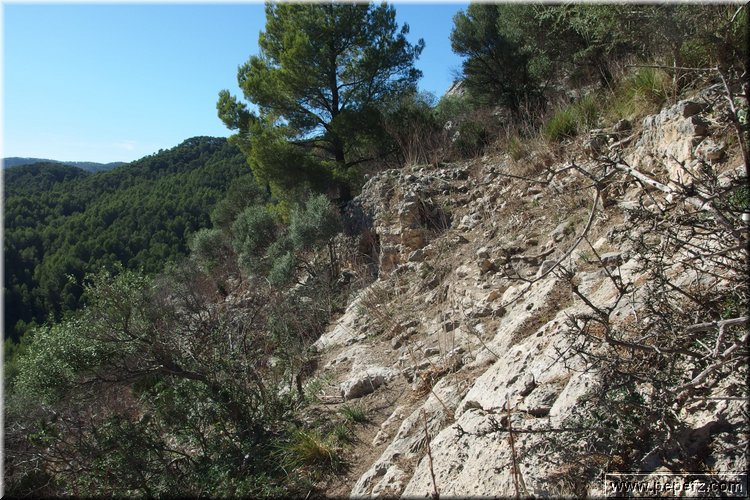 PA230573.JPG