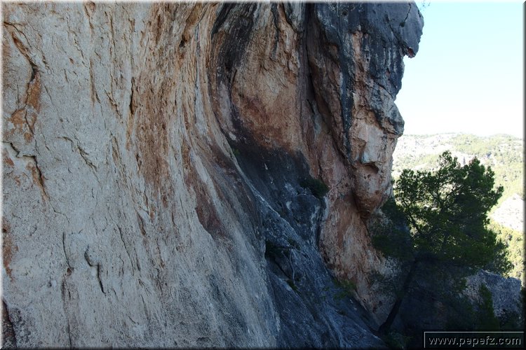 PA230584.JPG