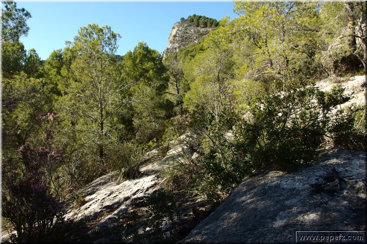 PA230587.JPG