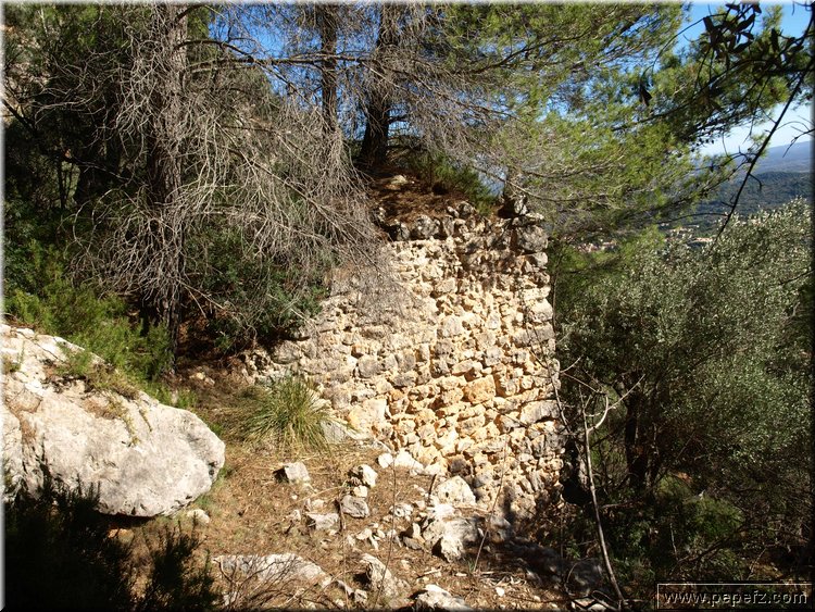 PA234206.JPG