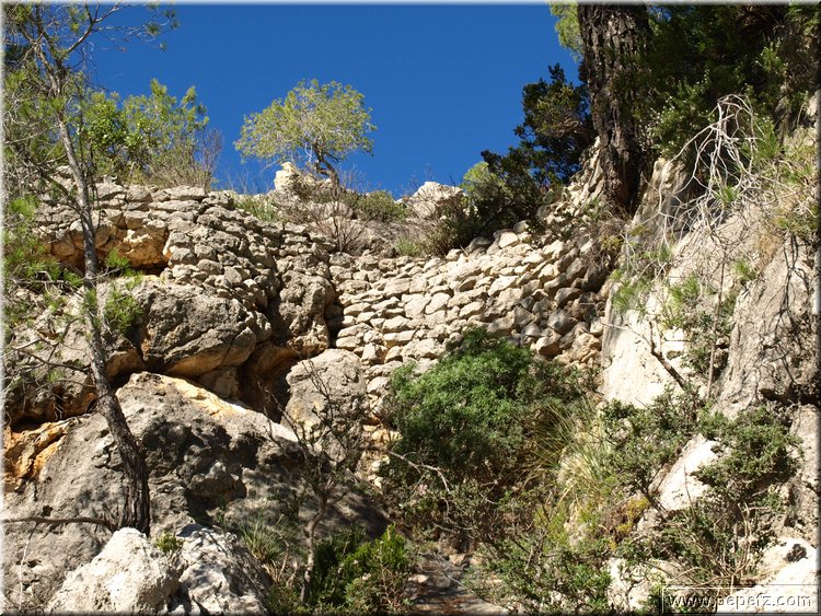 PA234210.JPG