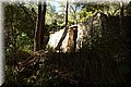 PA230520.JPG