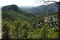 PA230548.JPG