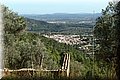 PA230552.JPG
