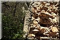 PA230562.JPG