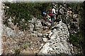 PA230567.JPG