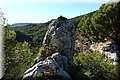 PA230570.JPG