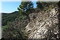 PA230573.JPG