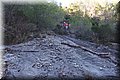 PA230592.JPG