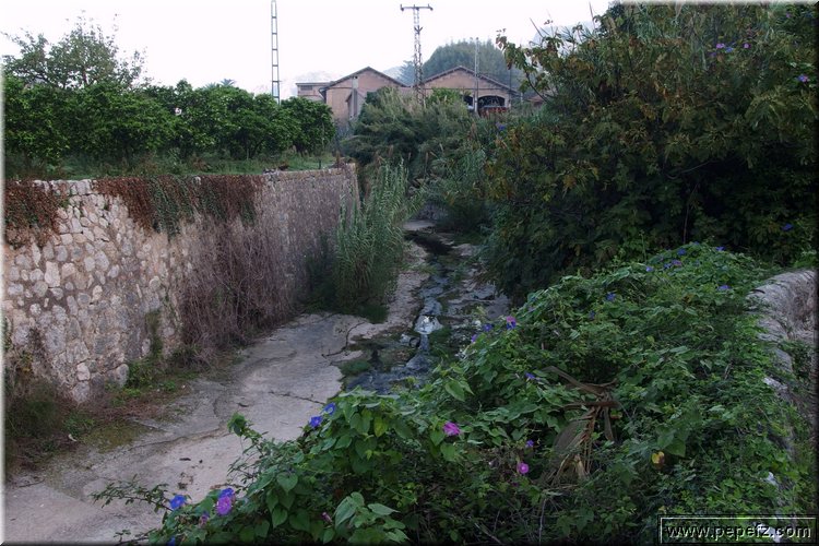 PA270637.JPG