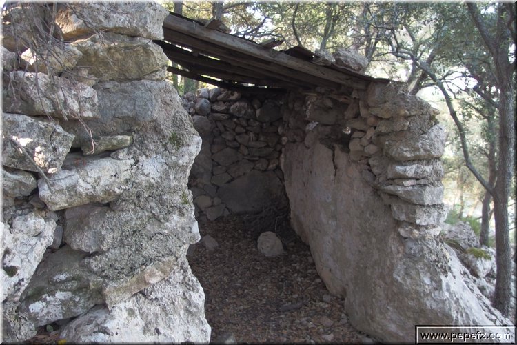 PA270658.JPG