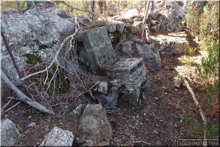 PA270666.JPG