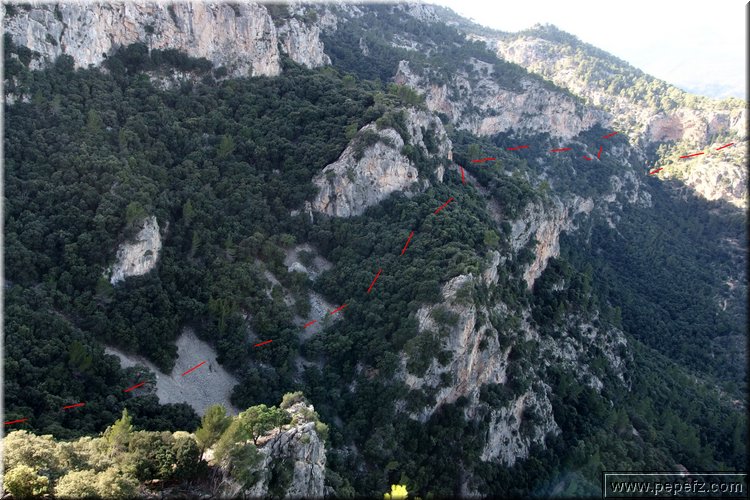 PA270673.JPG