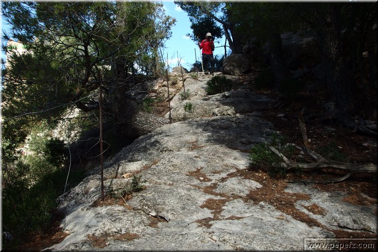 PA270677.JPG