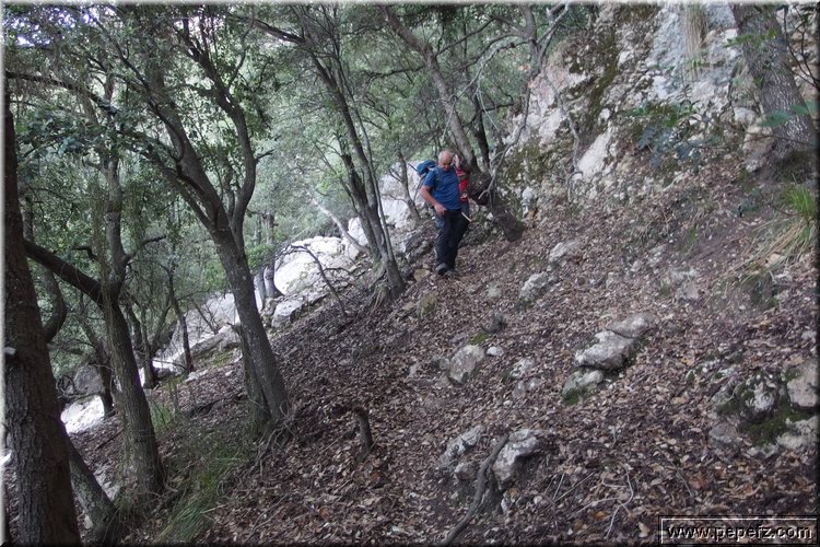 PA270679.JPG