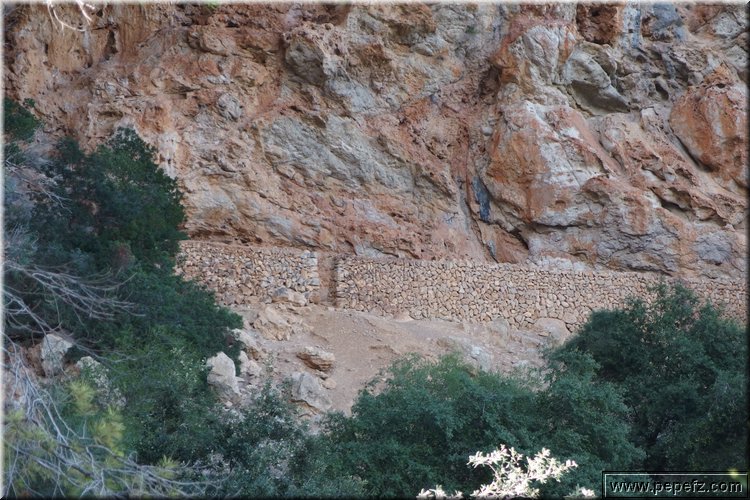 PA270698.JPG