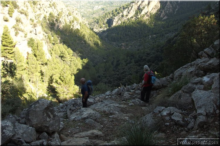 PA270700.JPG