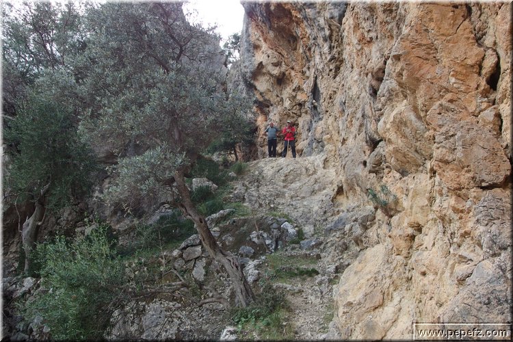 PA270705.JPG