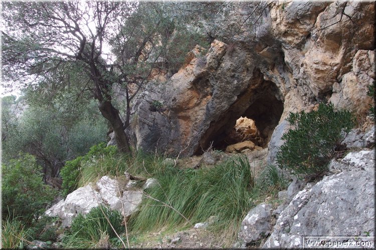 PA270706.JPG