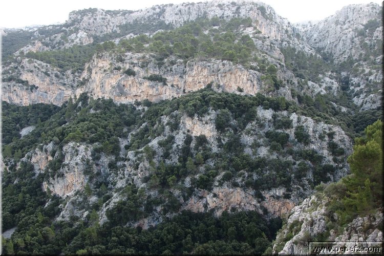 PA270707.JPG
