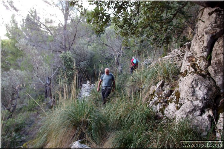 PA270710.JPG