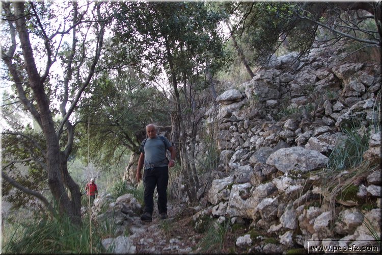 PA270712.JPG