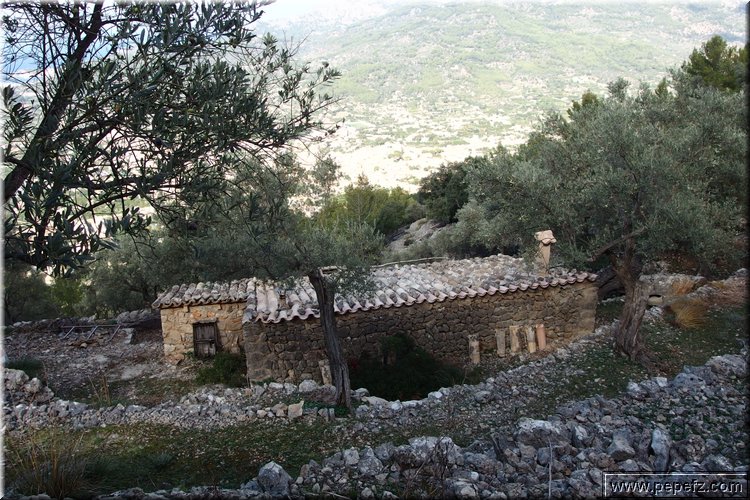 PA270713.JPG