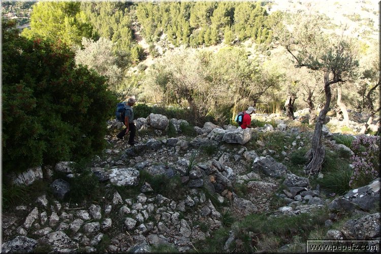 PA270719.JPG