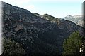 PA270663.JPG