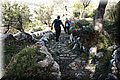 PA270715.JPG