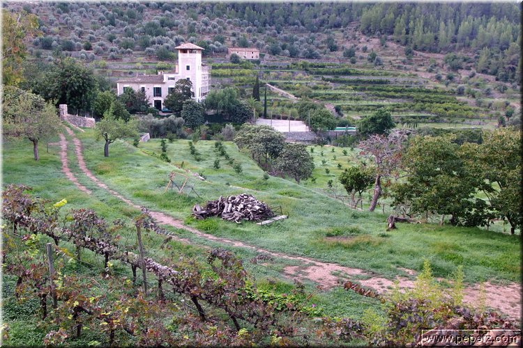 PA300742.JPG