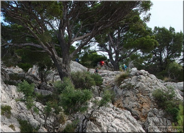 PA300789.JPG