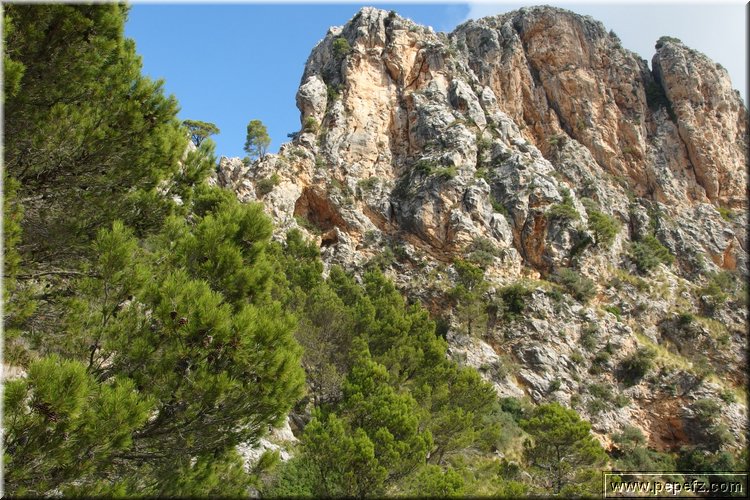 PA300799.JPG