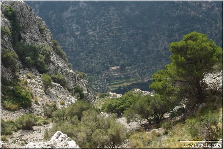 PA300832.JPG
